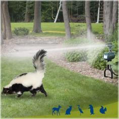 
                        
                            This motion-activated sprinkler repells basically all outdoor critters from your garden/yard safely and humanely with just water and noise! Works for deer, raccoons, groundhogs, skunks, rabbits, etc.
                        
                    