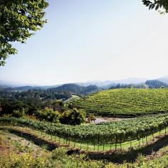 Best Napa Valley Wineries to Visit according to Food & Wine