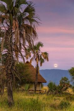 
                        
                            Setting moon in Lake Manyara National Park, Tanzania (by Linc060).
                        
                    