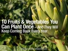 10 Fruits & Vegetables You Can Plant Once -- And They Will Keep Coming Back Every Year