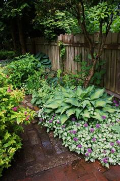 Shade plants…Lamium, Hosta – Lamium is an amazing ground cover that can fill a bed in one or two seasons – pink or purple flowers