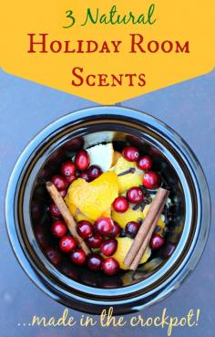 
                    
                        3 natural holiday room scents made in crockpot - I did this last year and loved it. | Primally Inspired
                    
                