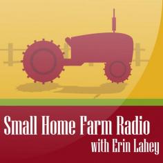 Small Home Farm Radio | We talk about small home farming, gardening, home schooling, natural remedies, and so much more.