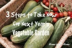 
                    
                        Good planning can make a big difference between a prosperous and productive home vegetable garden, and one that sputters throughout the season.  Even though we are on the cusp of winter time, and gardening may be the furthest thing from your mind, now is the perfect time to start planning a few things. 1. Review [Read More...]
                    
                