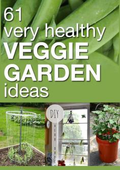 61 very healthy veggie garden ideas. Great ideas including hoop houses, starting seeds, storing produce, trellises, growing tips, etc.
