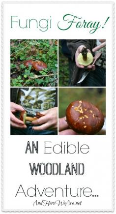 Fungi Foray! And Edible Woodland Adventure... #foraging #mushrooms #wildfood