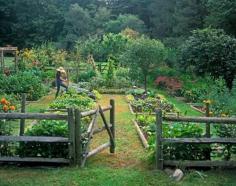
                    
                        Vegetable-Garden.jpg (700×548)
                    
                