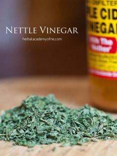 
                    
                        Making stinging nettle recipes and why we love this herb!
                    
                