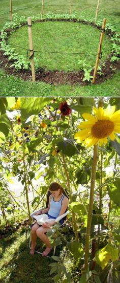 
                    
                        Grow a sunflower house for the kids to play in. | 51 Budget Backyard DIYs That Are Borderline Genius
                    
                