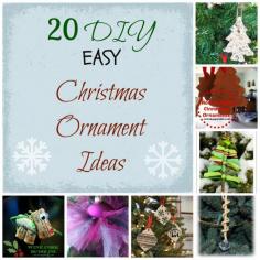 
                    
                        20 DIY Christmas Ornament Ideas!  Many cute ideas on this list!!!
                    
                