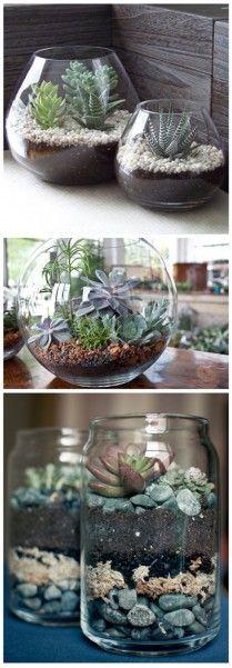 DIY Succulent Terrariums #diy #succulent #terrarium livedan330.com/...