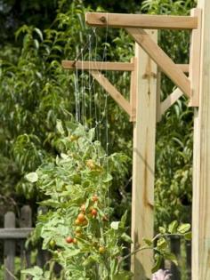 
                        
                            Vertical Gardening: How to squeeze more vegetables into small spaces with trellises. | From Organic Gardening
                        
                    