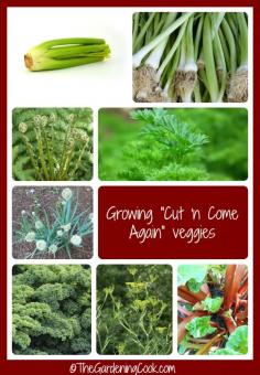 
                    
                        Cut and come again vegetables give you months and months of harvest. Some can even be grown indoors during the winter.  Get the list:  thegardeningcook....
                    
                