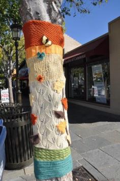 
                        
                            Yarn bombing Livermore, CA #yarnbomb #guerillaknitting #dan330 livedan330.com/...
                        
                    