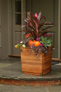 
                        
                            Tips for Fall Containers - #fallgarden #gardeningtips #Dan330 livedan330.com/...
                        
                    
