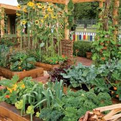 
                        
                            Intensive Gardening: Grow More Food in Less Space (With the Least Work!) - Organic Gardening - MOTHER EARTH NEWS
                        
                    