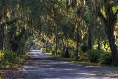 
                    
                        Savannah, Georgia | 29 Surreal Places In America You Need To Visit Before You Die
                    
                