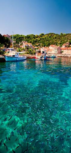 
                    
                        Elafits Island - Croatia
                    
                