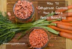 
                    
                        Step by step directions on how to dehydrate carrots.
                    
                