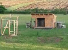 new home for goats