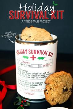 
                    
                        Holiday Survival Kit - The perfect easy and inexpensive gift! Can be filled with candies, cookies, or any other goodies!
                    
                