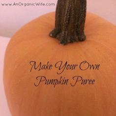 Make Your Own Pumpkin Puree