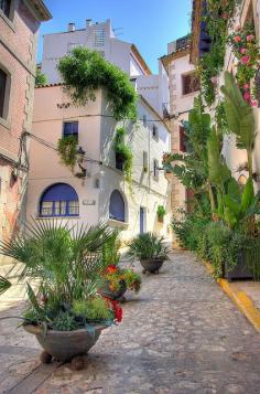 
                    
                        Beautiful street in Sitges, Catalunya, Spain. I love these little quiet Spanish streets. I think I'd like to retire in one!
                    
                