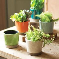 Crackle ceramic pots