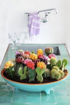 
                        
                            Mother's Day DIY Gift Ideas: 10 Inspiring Succulent & Cactus Gardens
                        
                    