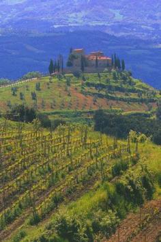 
                    
                        ✯ Italy  -  Tuscany Villa Vineyard  This is where you will find me when I retire....Dream Big!
                    
                