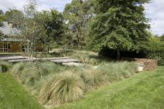 
                    
                        Dancing grass, Peter Fudge Gardens
                    
                