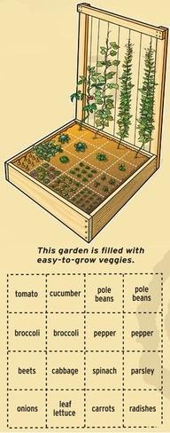 
                    
                        How to Plan Your Vegetable and Herb Garden | This Chick Cooks
                    
                