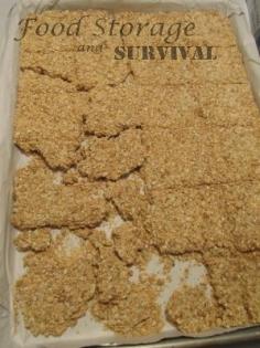 
                    
                        How to make your own Survival bars!  Easy and perfect for emergency kits.  Food Storage and Survival
                    
                