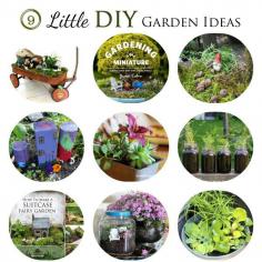 
                    
                        9 little DIY garden ideas including miniature gardens, fairy gardens, and a little veggie garden
                    
                