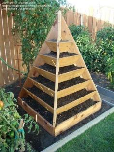 
                    
                        pyramid for growing herbs, strawberries and the like
                    
                