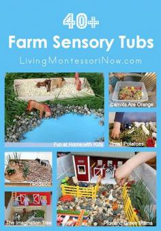 
                    
                        Blog post at LivingMontessoriN... : I've been having lots of fun with farm-themed posts and my Safari Ltd. farm-themed TOOBS giveaway lately! Today, I want to share some great [..]
                    
                