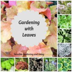 Gardening with Leaves at Sensible Gardening and Living