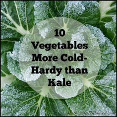 10 Vegetables More Cold-Hardy than Kale