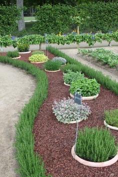 
                    
                        Cool herb garden idea, burried pots surrounded by mulch
                    
                