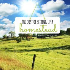 
                    
                        The Cost of Setting up a Homestead - I wish I could say that homesteading is an inexpensive way to live, but in all reality the initial start-up costs can be very expensive, but the reward is by far the most satisfying thing we have ever done! #homesteading
                    
                