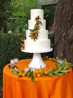 
                    
                        Ivory & orange wedding cake. Handmade kumquats by Sweet on Cakes — with Sweet on Cakes at Kenwood Inn & Spa.
                    
                