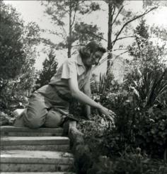 
                    
                        Eudora Welty's garden
                    
                