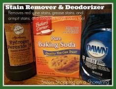 
                        
                            Homemade Stain Remover and Deodorizer with peroxide, dawn and baking soda www.sistersshoppi...
                        
                    