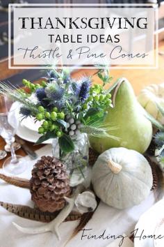 Simple Fall Thanksgiving Table Ideas - Thistle, Gourds and Pinecones make up this simple tablescape.