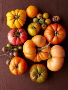 
                        
                            Veggies of a Different Color: The Organic Gardening Test Garden yielded a rainbow harvest in 2012. | From Organic Gardening
                        
                    