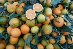 
                    
                        Athens fruit and vegetable market in photos
                    
                