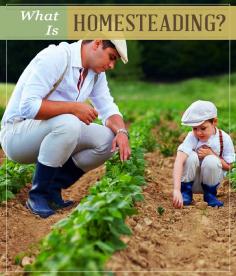 What Is Homesteading? | Pioneer Settler | Homesteading Projects and Off the Grid Living Tips and Tricks at pioneersettler.com