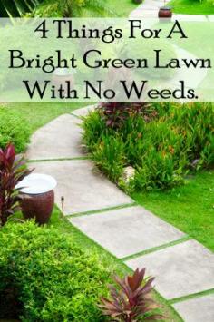 <p>Weeds are killers! It&#8217;s hard to keep them out of your yard, and they look so bad when they are there. If you use these 3 tips, your lawn will look and feel so much better. 1. Naturally prevent weeds with corn gluten meal. Spring is the best time to &#8230;</p>