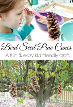 
                        
                            Bird Seed Pine Cone Craft - An Easy Kid Friendly Craft
                        
                    