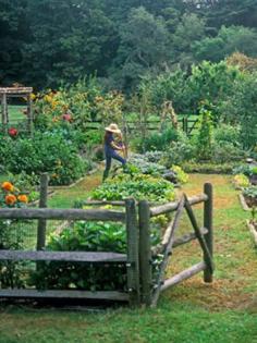 
                    
                        Try growing your own produce this year — your body and bank account will thank you.
                    
                